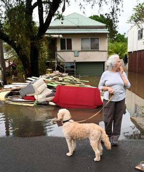 People Forced To Flee Homes Amid Even More Flooding In NSW