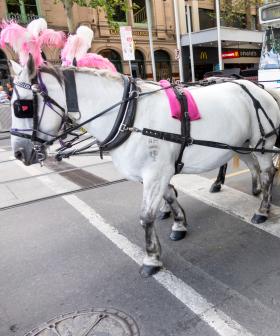 Horse-Drawn Carriages Are Now BANNED In Melbourne CBD