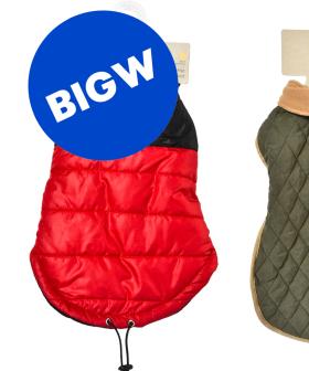 Big W Has Released A Winter Coat Line For Your Pets!