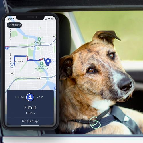 Uber Pet Has You Covered Fur-Real This National Take Your Dog To Work Day