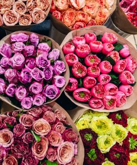 Here's How You Can Score Free Flowers From Coles!