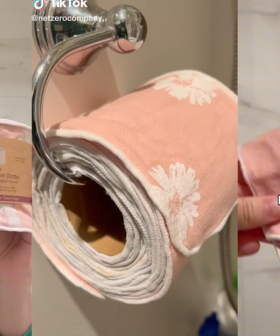 Would You Use Reusable Toilet Paper Cloths?