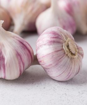 Apparently We've All Been Chopping Garlic Wrong