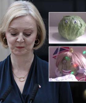 'Lettuce Rejoice': Head of Iceberg Lettuce Outlasts UK Prime Minister Liz Truss
