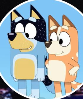 Attention Bluey Fans: Bandit And Chilli Heeler Were Just On Jimmy Fallon