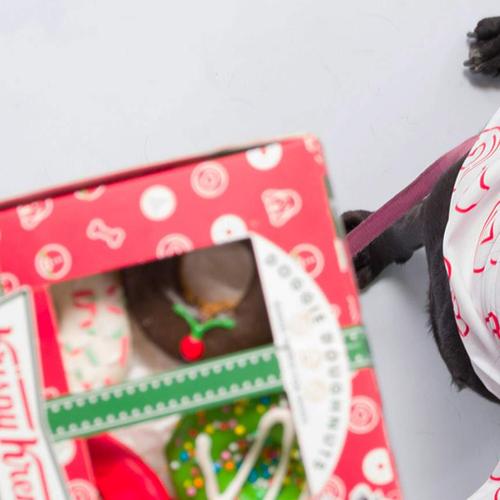 Krispy Kreme Is Helping Your Dog Get Into The Christmas Spirit With Christmas Doggy Biscuits