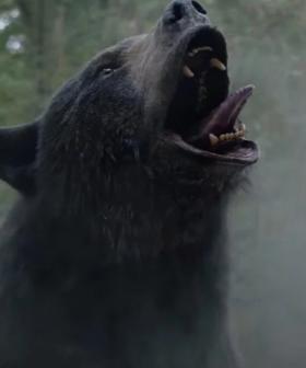 Just How True Is The 'True Story' Behind The 'Cocaine Bear' Movie?
