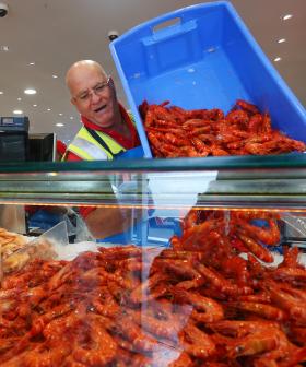 Prawns Are Making A Comeback At The Sydney Fish Market’s 36-Hour Christmas Marathon