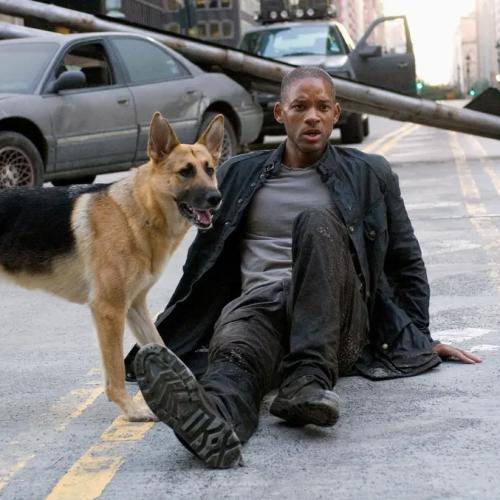 We Don't Know How... But It Seems We're Getting An 'I Am Legend' Sequel