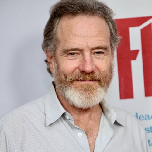 Bryan Cranston Wants To Play Willie Nelson In A Biopic