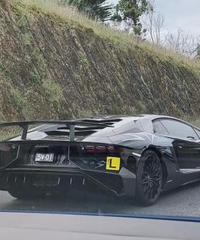 L-Plater Spotted Driving A Lamborghini