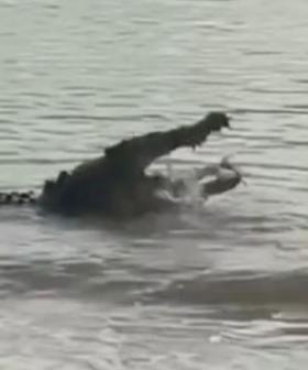 Woman's Shark Catch Gets Snapped Up By Huge Croc Because 'Straya