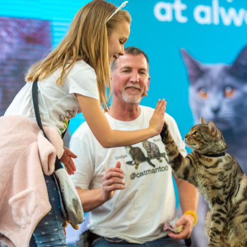 Calling All Cat Lovers – A Festival Dedicated To Cats Is Heading To Sydney!