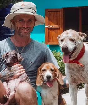 Man Dedicates His Life To Saving Thai Street Dogs After Near Death Experience