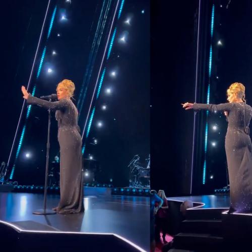Adele Stopped Her Show To Help Fan Being "Bothered" By Security