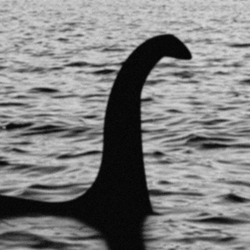 Nessie Hunters Sought For Largest Search Of Loch Ness Since The 70s