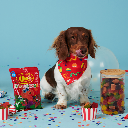 It's Paw-ty Time: Allen's Release Adorable Dog Shaped Lollies!