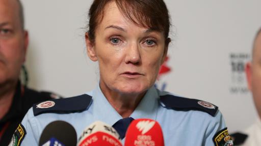 ‘She Just Quoted Taylor Fricken Swift’: Jaws Drop Over NSW Top Cop’s Response To Criticism