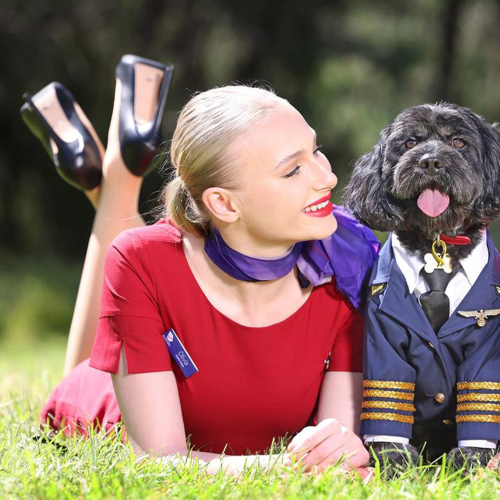 Virgin Australia Announces Plans To Welcome Pets Onboard Flights
